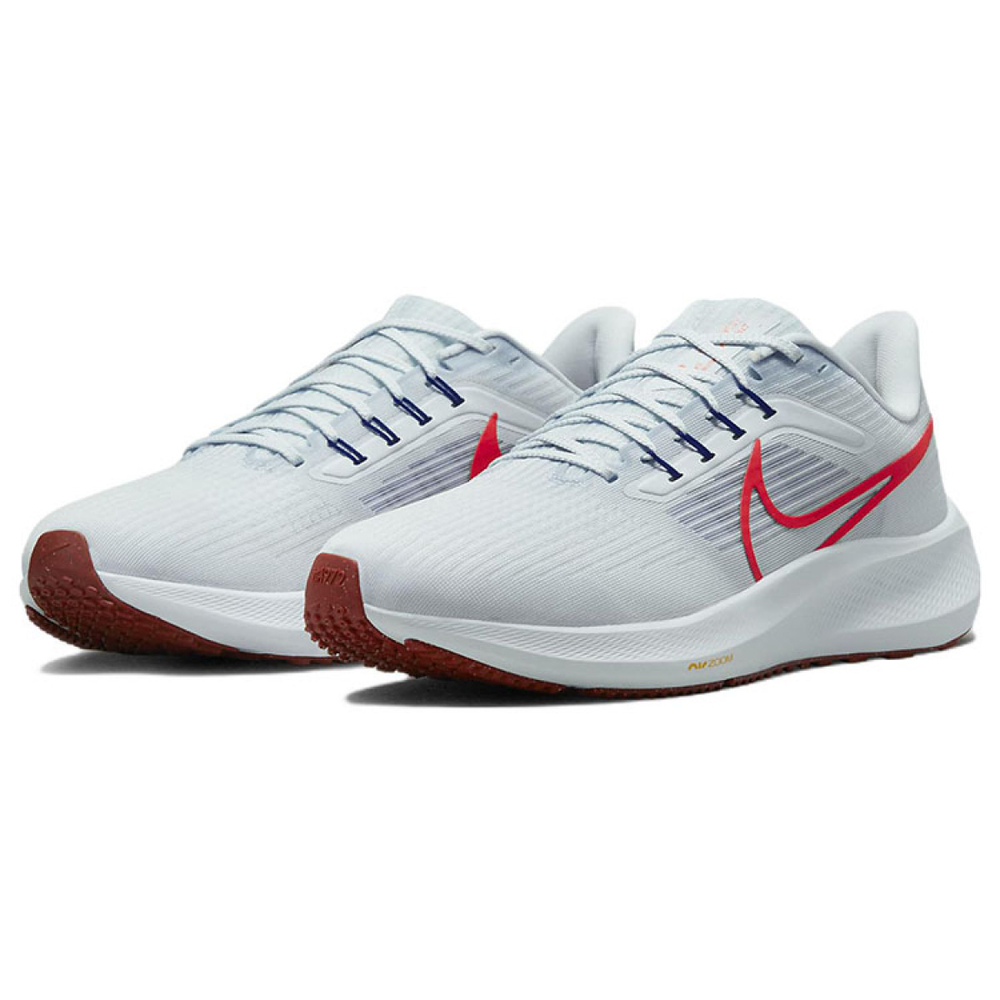 Nike Air Zoom Pegasus 39