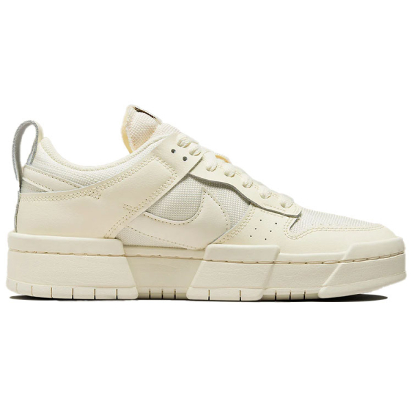 Nike Dunk Disrupt
