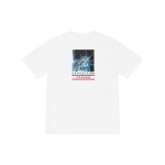 Supreme x /THE NORTH FACE TNF T
