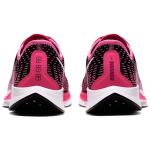 Nike Pegasus turbo 2