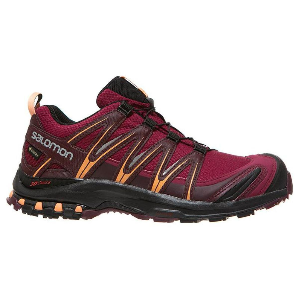 SALOMON XA Pro 3D V9 gore tex