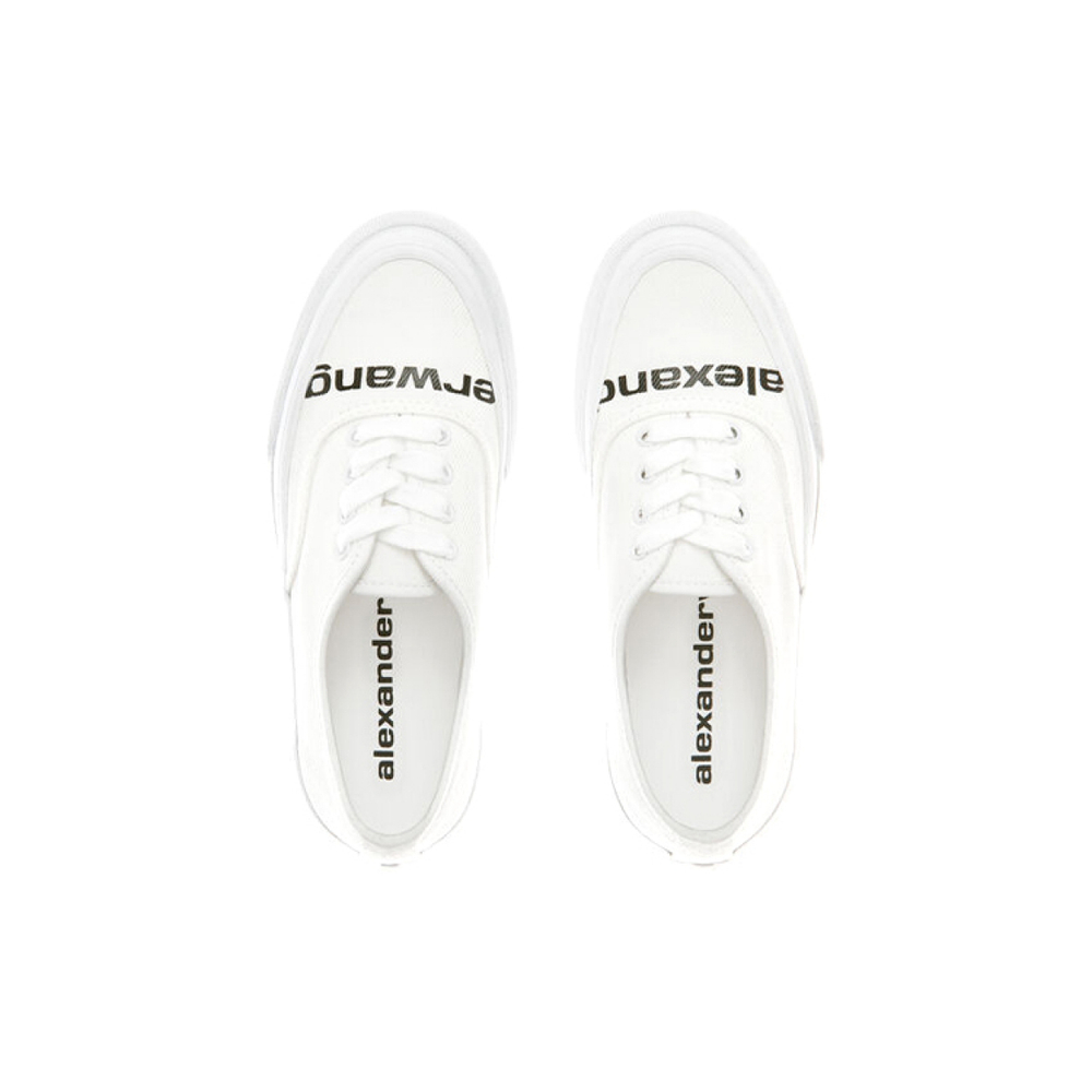 Alexander wang Dropout