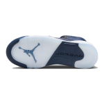 Jordan Air Jordan 5