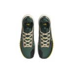 Nike Pegasus Trail 4