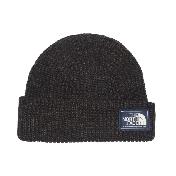 THE NORTH FACE FW21 Salty Dog Beanie 3FJW JK3