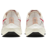 Nike Air Zoom Pegasus 39