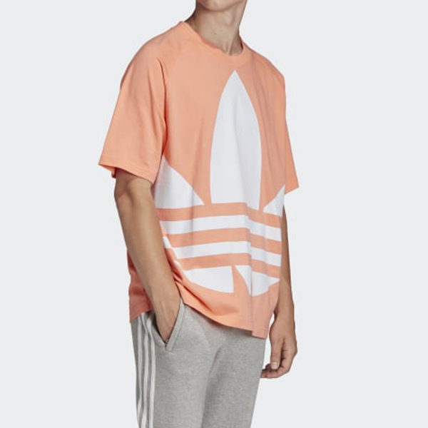 Adidas originals Big Trefoil Boxy Tee Logo T