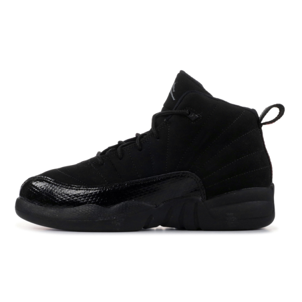 Jordan Air Jordan 12