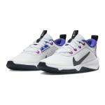 Nike Omni Multi-Court Multi-Court
