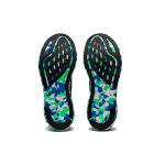 Asics Noosa Tri 14