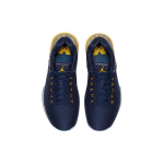 Jordan Air Jordan 31 Low Michigan