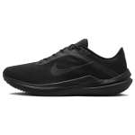 Nike Air Winflo 10