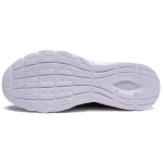 Anta