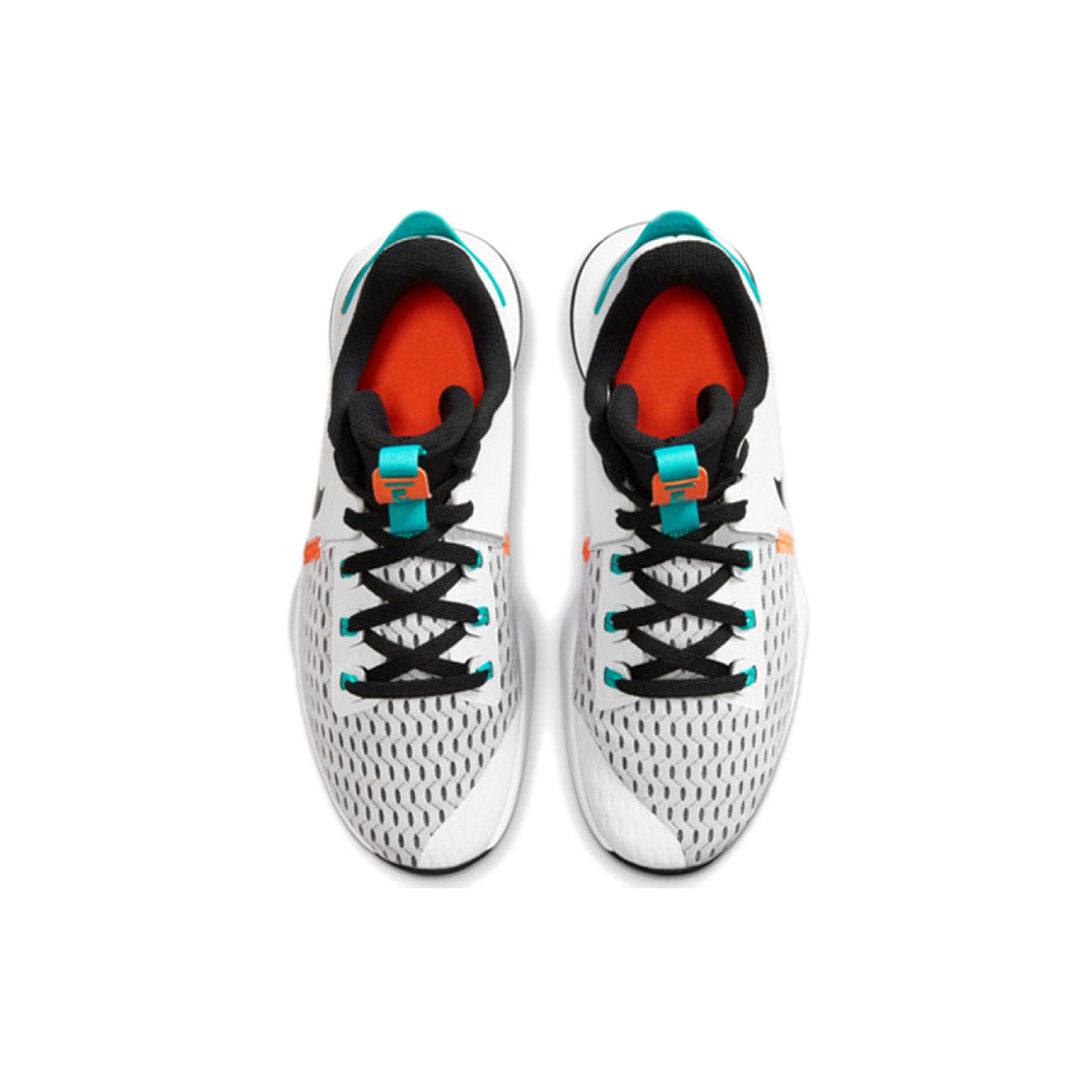 Nike Witness 5 LeBron EP