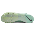 Nike Air Zoom LJ Elite