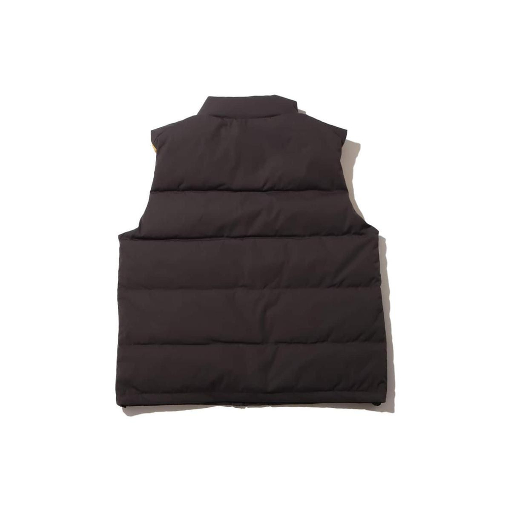 THE NORTH FACE PURPLE LABEL