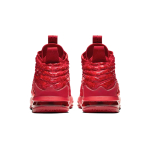 Nike Lebron 17