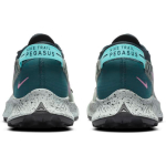 Nike Pegasus Trail 2