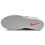 Nike SB Force 58