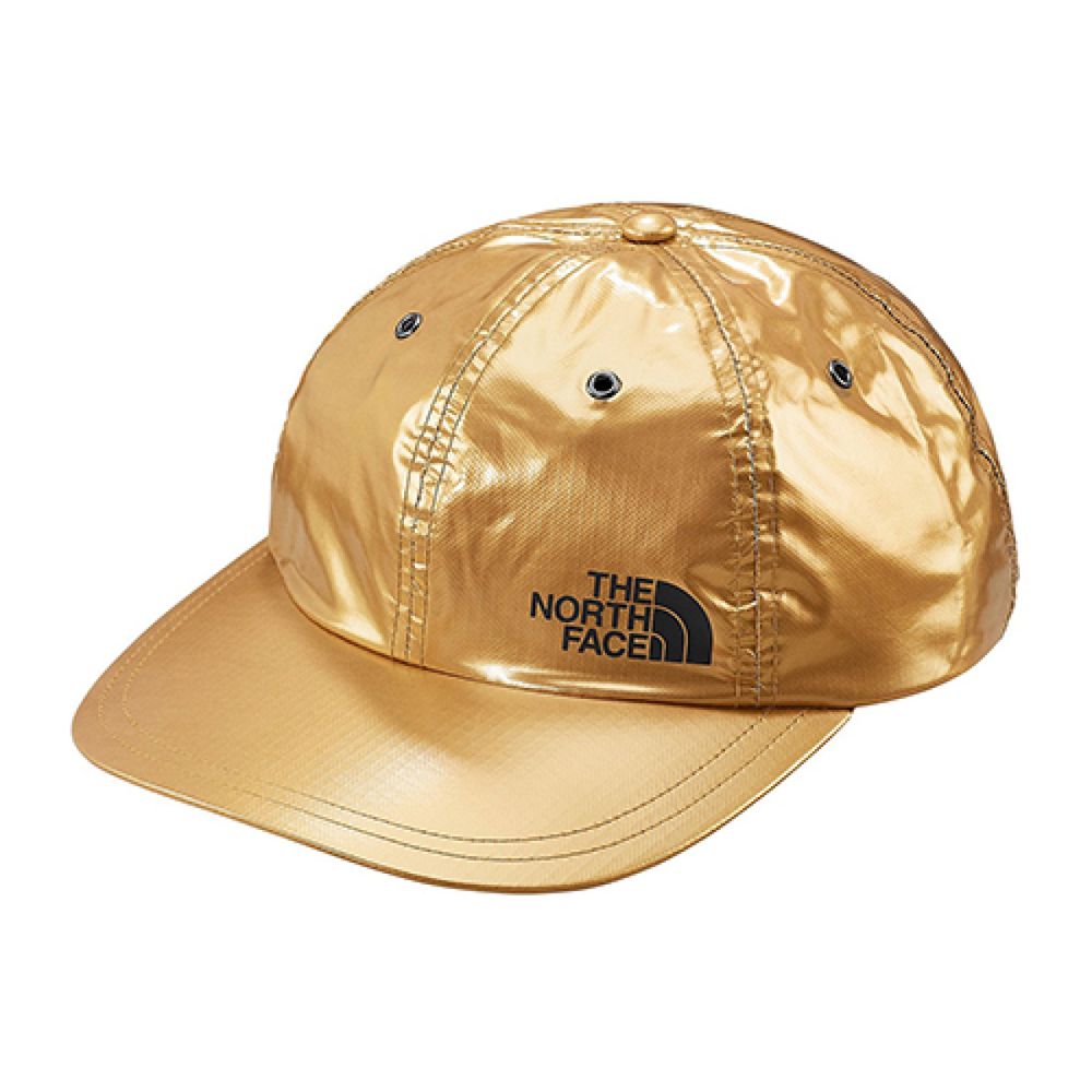 Supreme SS18 The North Face Metallic 6-Panel