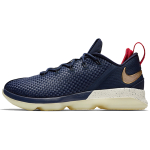 Nike Lebron 14 Low EP 14