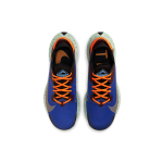 Nike Pegasus Trail 2 Zoom GORE-TEX