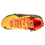 Nike Lebron 12 Witness 12