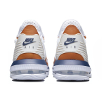 Nike Lebron 16 Air Trainer
