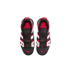 Nike Air More Uptempo "Brown Bulls" AIR