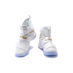 Nike zoom soldier 10 LeBron Gold Medal