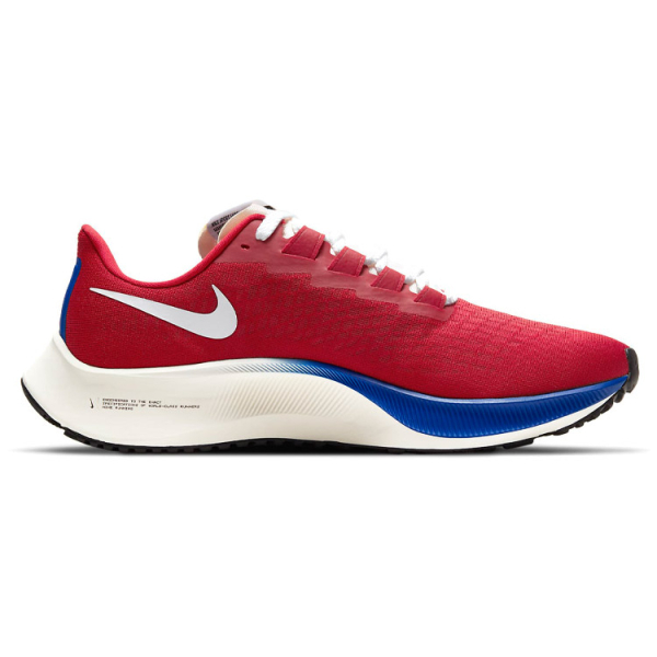 Nike Pegasus 37 Air Zoom/React