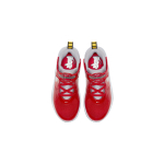 Nike Team Hustle D 9 Auto