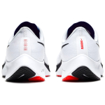 Nike Pegasus 37
