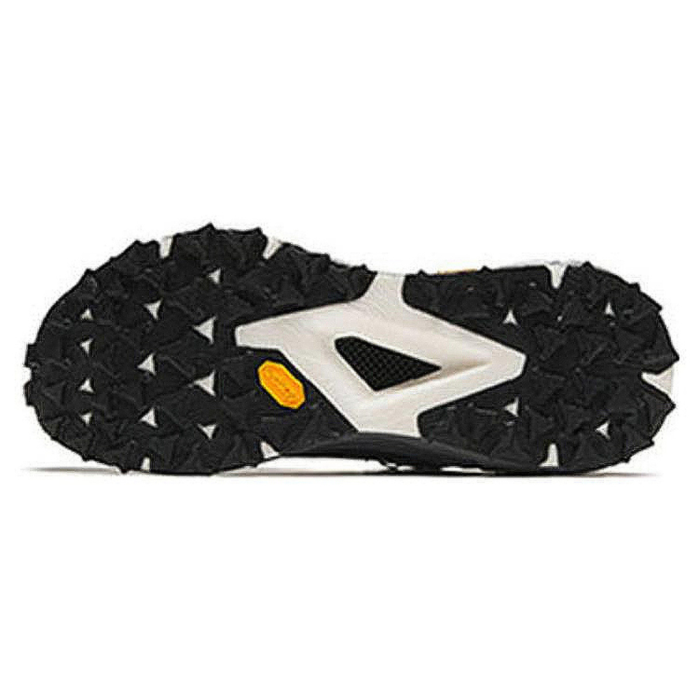 Anta