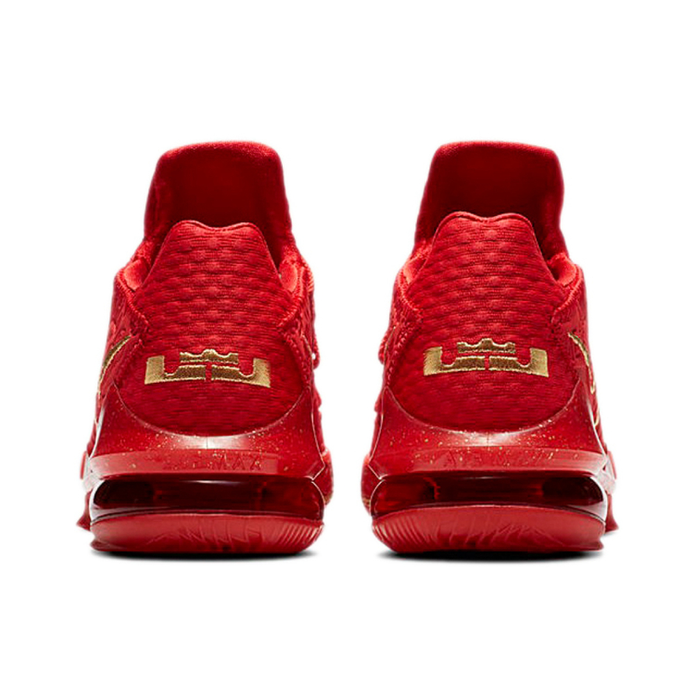 TITAN x Nike Lebron 17