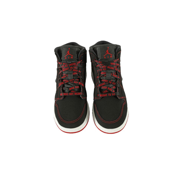 Jordan Air Jordan 1 “Come Fly With Me”
