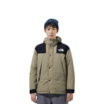 THE NORTH FACE dryvent Logo