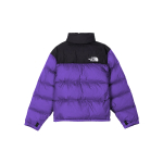 THE NORTH FACE 1996 Retro Nuptse 700