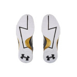 Under Armour Curry 1 MVP