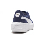 PUMA Platform Trace