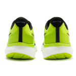 Saucony Triumph 19