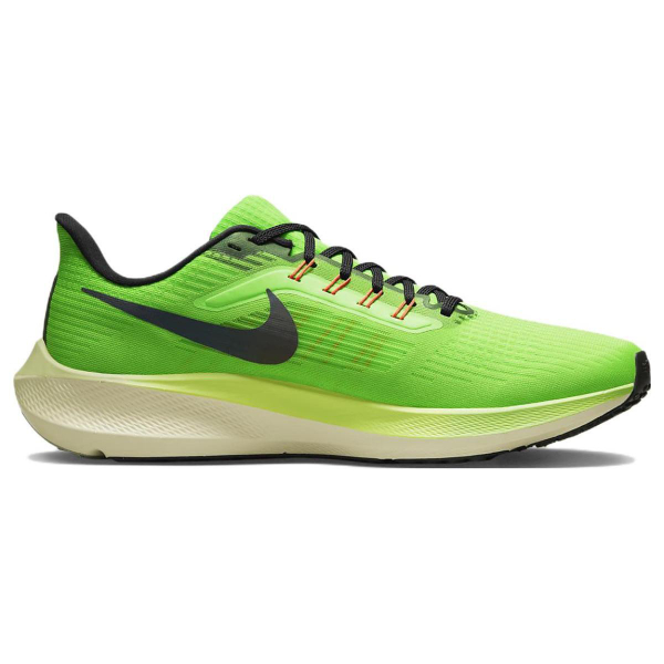 Nike Air Zoom Pegasus 39