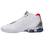 Nike Shox BB4 QS "Raptors"