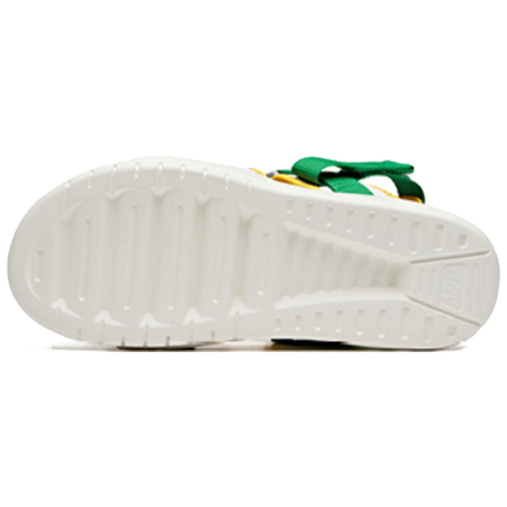 Anta