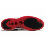 Jordan Jumpman Pro