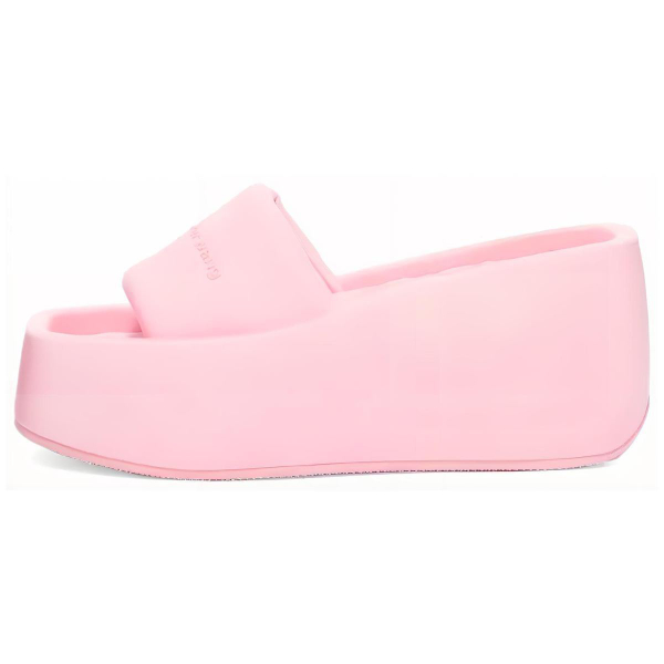 Alexander wang taji