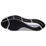 Nike Pegasus 37