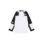 THE NORTH FACE 1994 Retro Mountain Light Futurelight™ logo