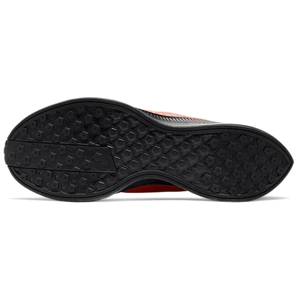 Nike Pegasus Turbo Shield