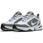 Nike Air Monarch 4 Cool Grey